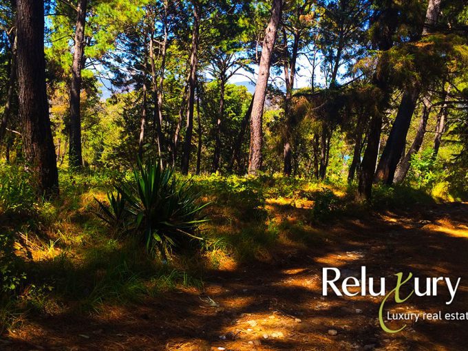 TVAJ419 | Excelente terreno bien ubicado con linda vista a bosque